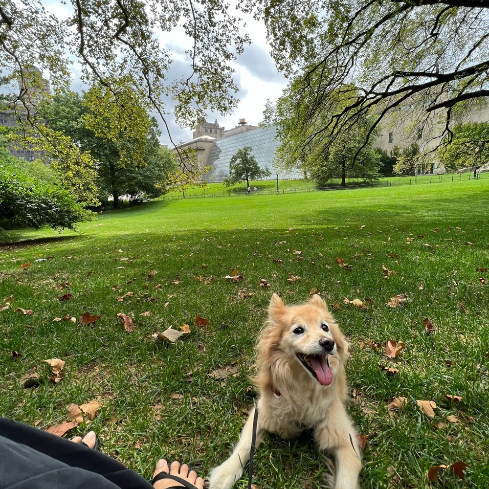 Meet your Posher, Lena